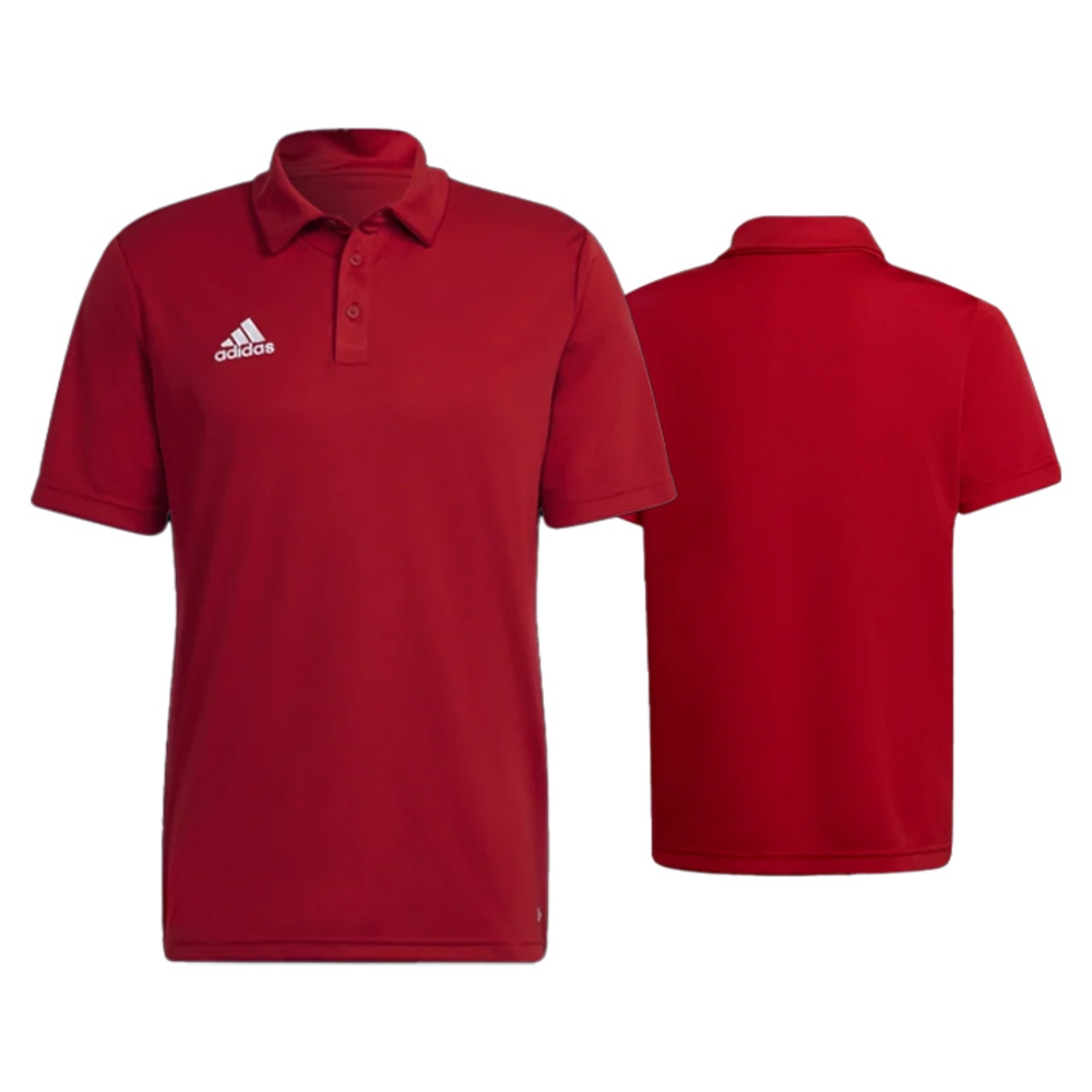 ADIDAS POLO Ent22 Tepore - ADI24-POLO Ent22 Tepore T3XL