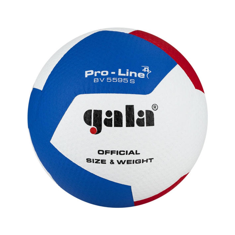GALA-BALLON VOLLEY FIVB PRO-LINE 12PAN BV5595SA - GALA-BALLON VOLLEY FIVB PRO-LINE 12PAN BV5595SA